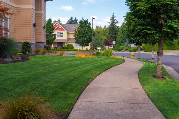 Sidewalk Patching in Des Moines